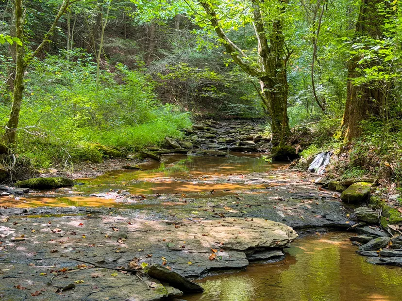 2045 Teges Creek Road, Manchester, KY 40962 — primary photo